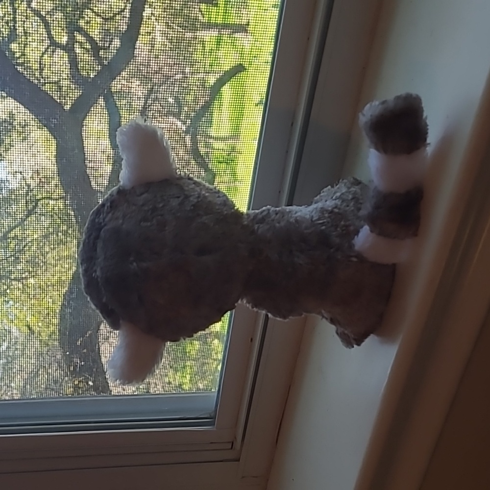 TY Linus - Picture 5 of 10